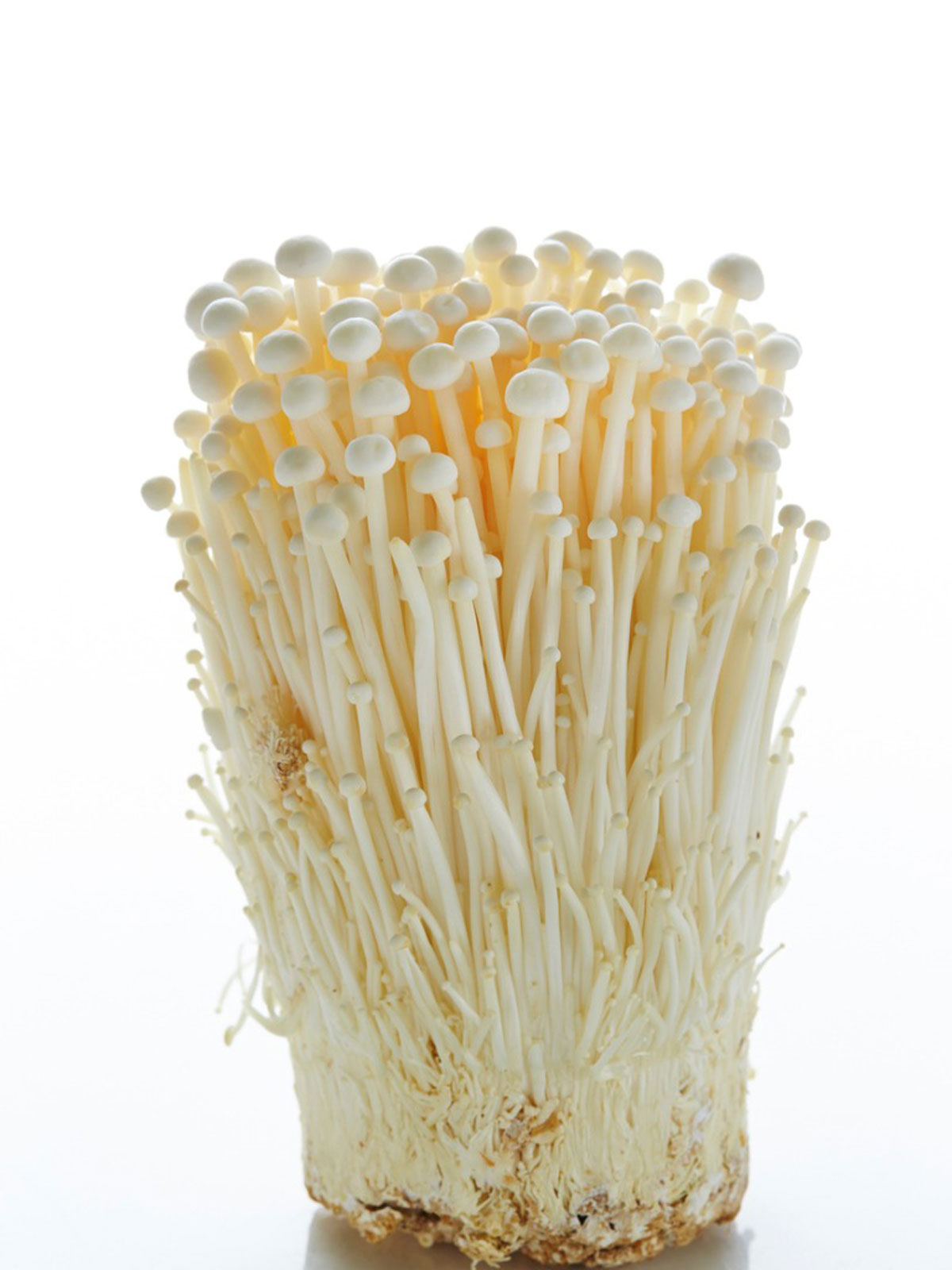 enoki Enoki Mushrooms