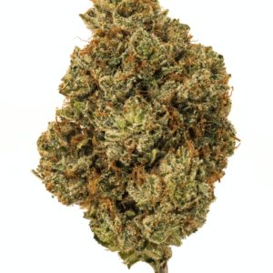 OG Kush Strain OG Kush Strain also known as "Premium OG Kush, Buy OG Kush Strain online California, San Jose, Purchase Premium OG Kush Los Angeles, OG Kush for sale