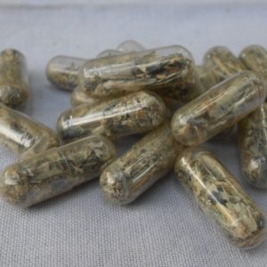 mushroom capsules