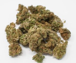 Buy Asian Fantasy Weed Michigan ,Order Weed Online Portland , Purchase Asian Fantasy Weed Strain California , Where to order Weed strain Arizona
