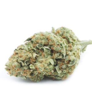 Headband 818 Headband Strain is Very smooth very relaxing. Buy Headband 818 Strain online California Purchase Headband 818 Strain Los Angeles Headband 818 doe sale USA