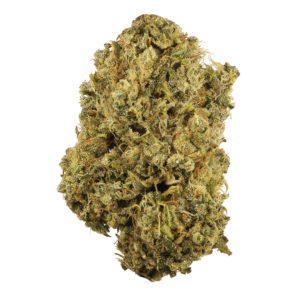 Durban Poison Strain ,Durban Poison Strain is a 100% Sativa marijuana strain.Buy Durban Poison Strain Online California , Purchase Durban Poison Strain In Los Angeles , San Jose