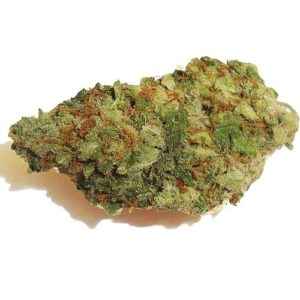 Golden Night Strain ,Buy Golden Night Strain Online California Order Weed Online Los Angeles , Where to order Weed Online San Jose , Legit Weed Vendor in San Diego