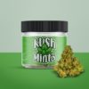 Kush Mintz Buy Kush Mintz online California, purchase Kush Mintz San Diego Kush Mintz weed foe sale San Jose Order Kush Mintz Los Angeles