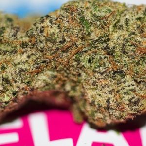 Buy White Bubblegum Online, Where to Buy White Bubblegum Online, Buy White Bubblegum Near me