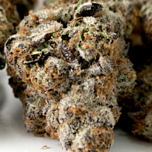 Gushers Gushers, also known as "White Gushers " Buy Gushers online California Purchase Gushers online San Jose Gushers For sale Oxland 