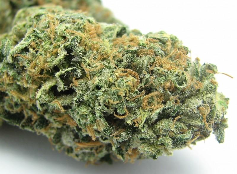 Buy Sunset Sherbert Strain California , Where to order weed In Los Angeles Sunset Sherbert ,Buy Sunset Sherbert Strain California , Where to order weed In Los Angeles