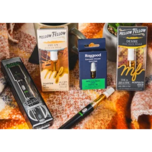 Baked Collection Bundle